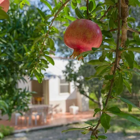 L'agrumeto דירה