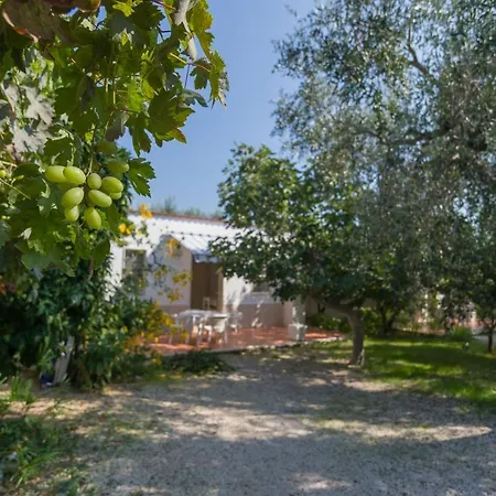 L'agrumeto