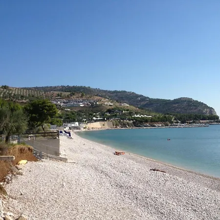 L'agrumeto מאטינאטה